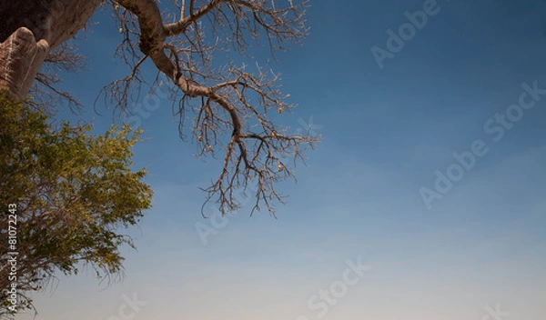 Fototapeta Namibian sky