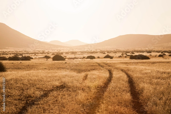 Obraz African landscape