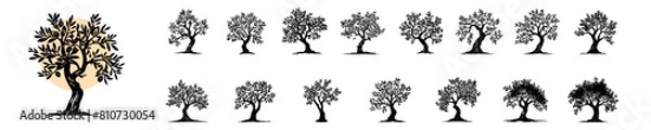 Fototapeta Nature's Emblem Olive Tree Vector Bundle
