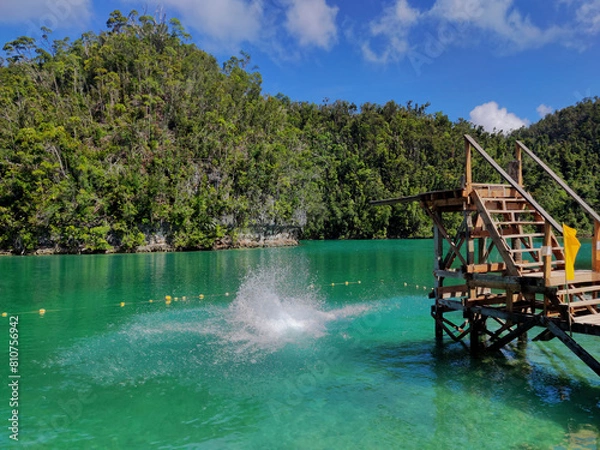 Obraz Lagoon Diving Board