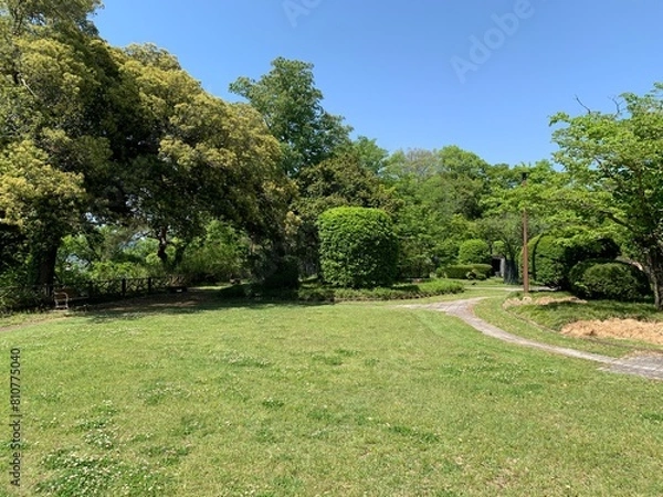 Fototapeta 佐野城跡の景色