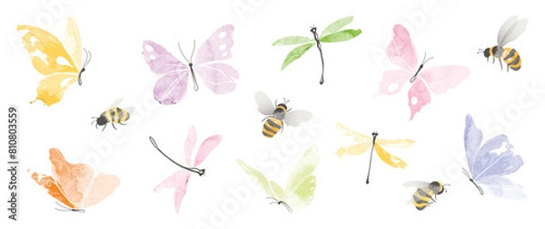 Fototapeta Set of insects garden elements vector. Collection of dragonfly, bee and butterfly colorful. Watercolor insects illustration design for logo, wedding, invitation, decor, print, card.