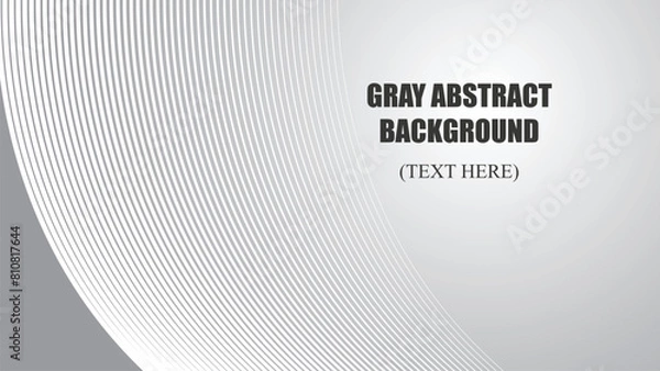 Fototapeta Gray abstract background with curve line vector image illustration for backdrop or wallpaper 