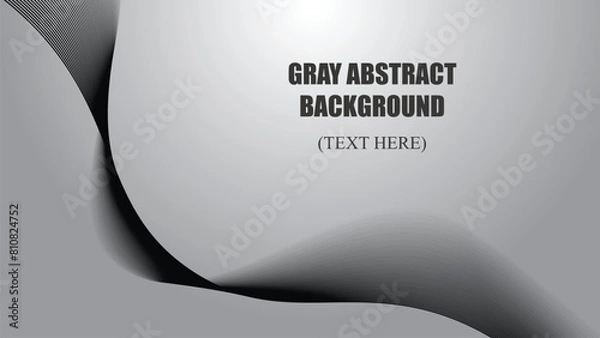 Fototapeta Gray abstract background with curve line vector image illustration for backdrop or wallpaper 