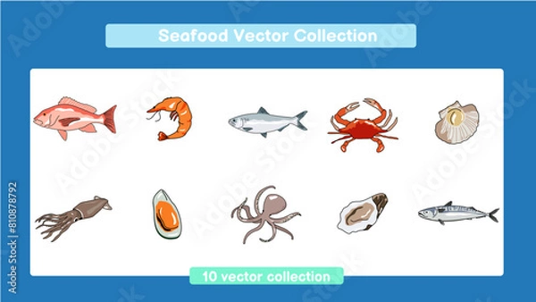 Fototapeta Seafood Vector Collection