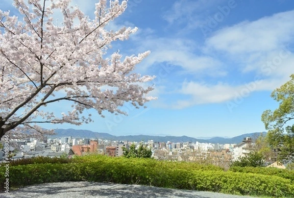 Obraz 京都市内の風景