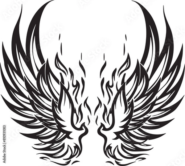 Fototapeta  Wings black and white vector