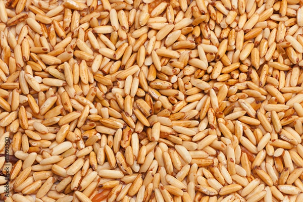 Fototapeta Fried rice seedbackground