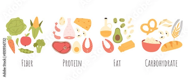 Fototapeta Set of healthy macronutrients. proteins, fats and carbs or carbohydrates presented by food products. Flat vector illustration of nutrition categories isolated on white background