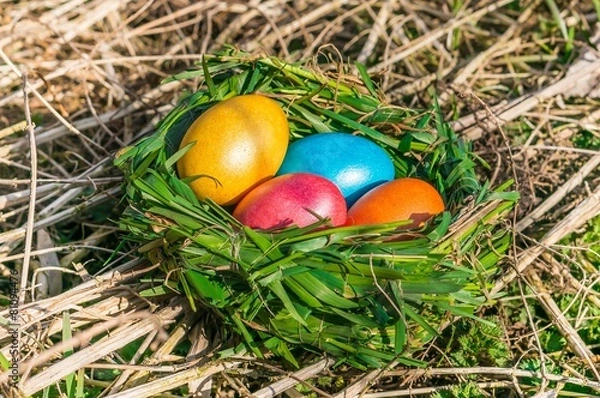 Fototapeta Nest with colored eggs