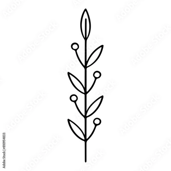 Fototapeta Hand drawn silhouette of mimosa flower. Vector illustration.