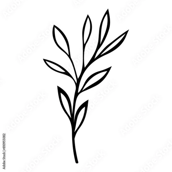 Fototapeta Hand drawn leaf of rhododendron tree. Vector illustration.