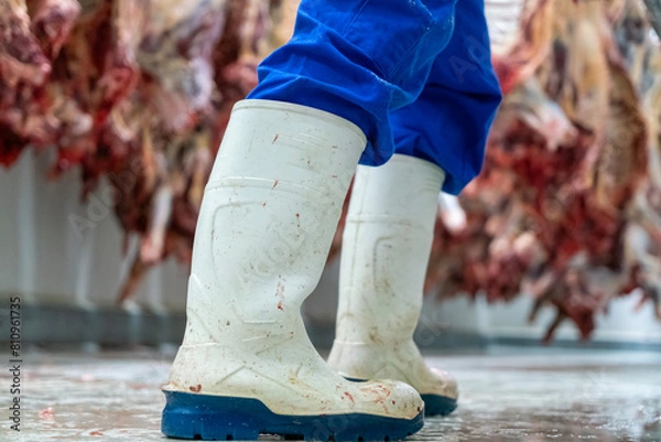 Fototapeta Close up of a worker's white rubber boots among the hooked cattle carcasses in the giant refrigerator at the slaughterhouse.