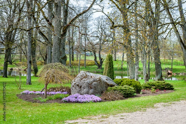 Fototapeta Beautiful view in rock garden. Landscape design with colorful flowers and dwarf conifers. Dwarf trees in a public park.