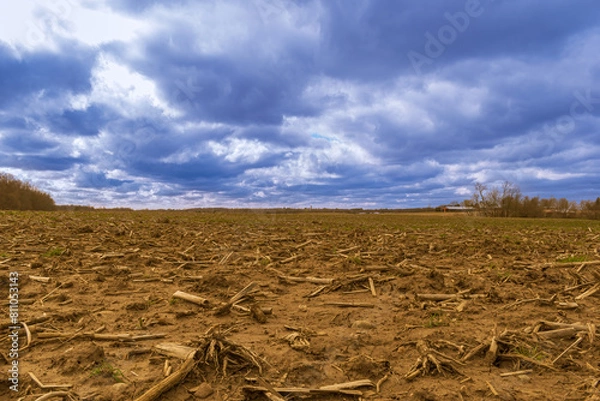 Obraz Plowed field and cloudy sky