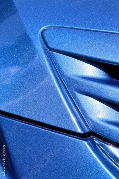 Fototapeta blue hood