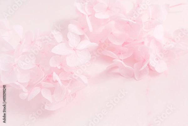 Obraz ピンクの花の背景