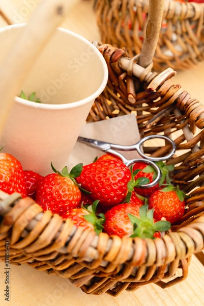 Obraz いちご狩りの籠