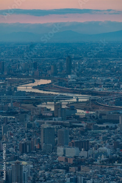 Fototapeta Aerial  view of Tokyo at sunset. A huge number of houses, bridges and the Sumida River flowing through the entire city.