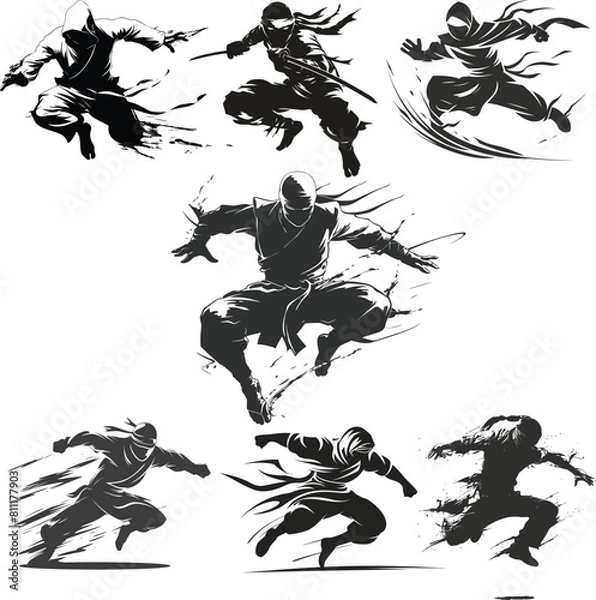 Fototapeta Ninja Shadow siluate Vector silhouette, graphic