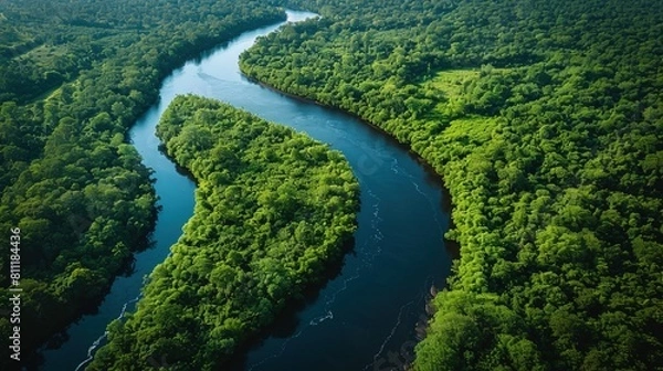 Fototapeta Aerial View of Meandering River Through Dense Jungle