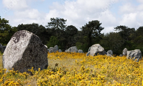 Obraz Les alignements de Carnac