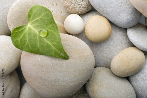 Obraz serce liść kamyki tło