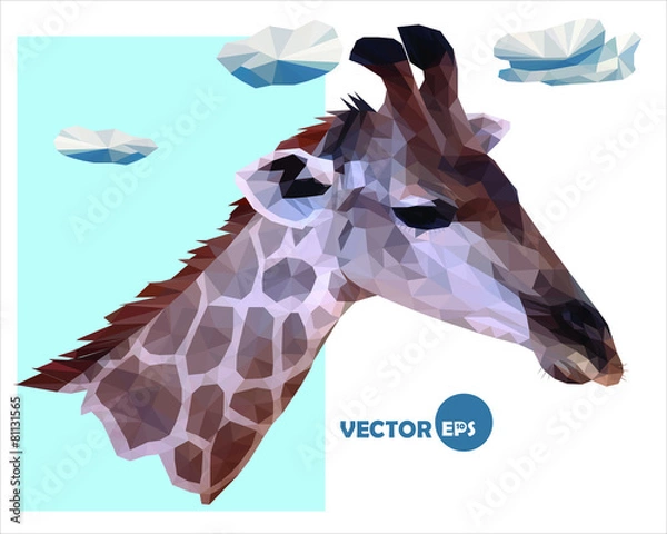 Fototapeta vector portrait of a giraffe