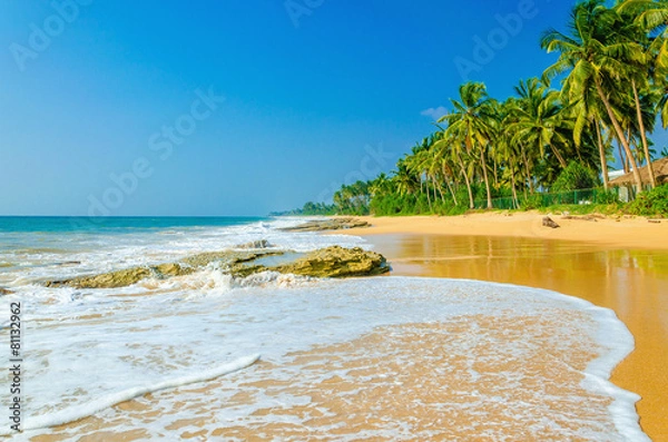 Fototapeta Amazing view of exotic sandy beach with high palm trees