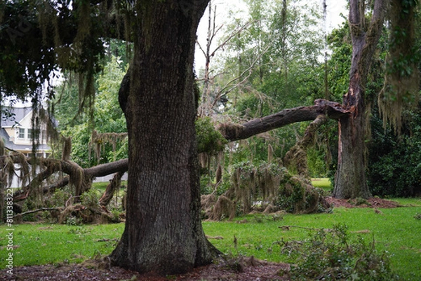 Fototapeta Tallahassee, FL, United States - May 10,
2024. Three tornadoes ripped through Leon County in Florida, leaving extensive property damage, especially in the Tallahassee area. 
