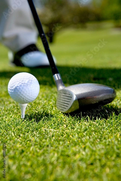 Fototapeta Golf player