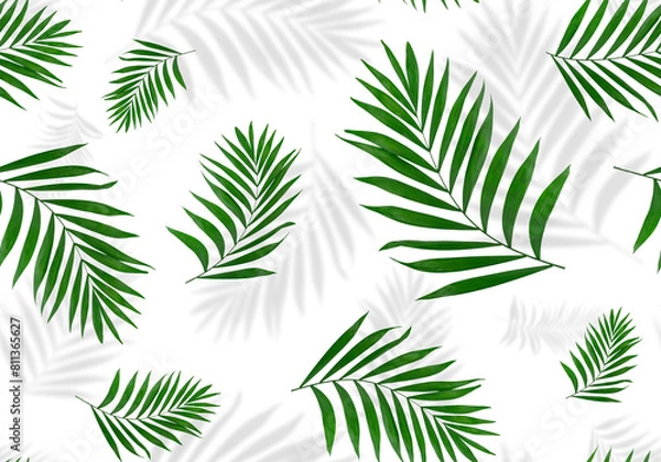 Obraz Seamless pattern of palm leaves with shadows