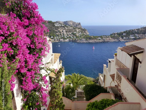 Obraz Port d'Andratx