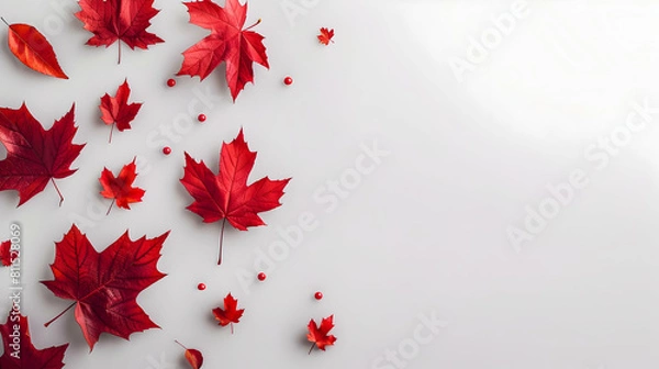 Fototapeta banner for canada day with place for text, red maple leaves on a white background with copy space	