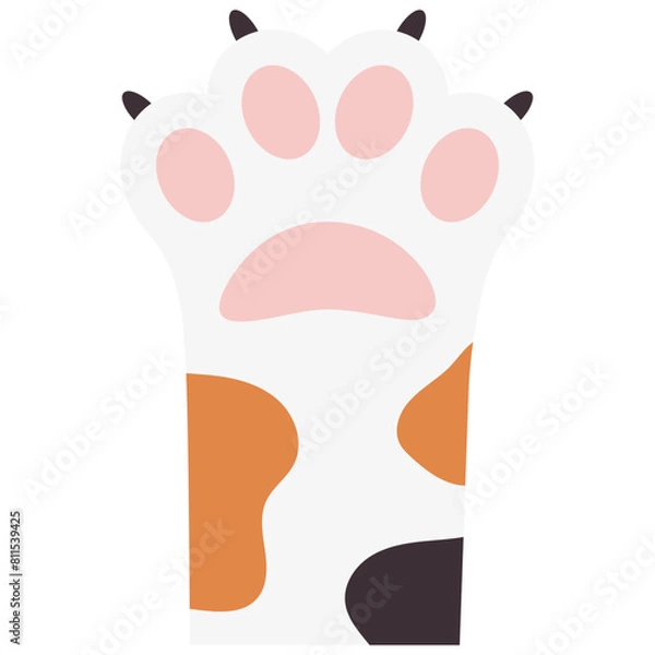 Obraz Cute Cat Paw