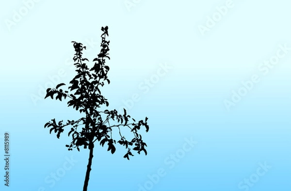 Obraz manzano vectorizado