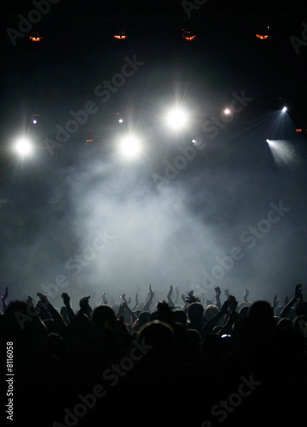 Obraz Konzert in silbernem Nebel