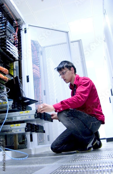 Obraz IT Professional