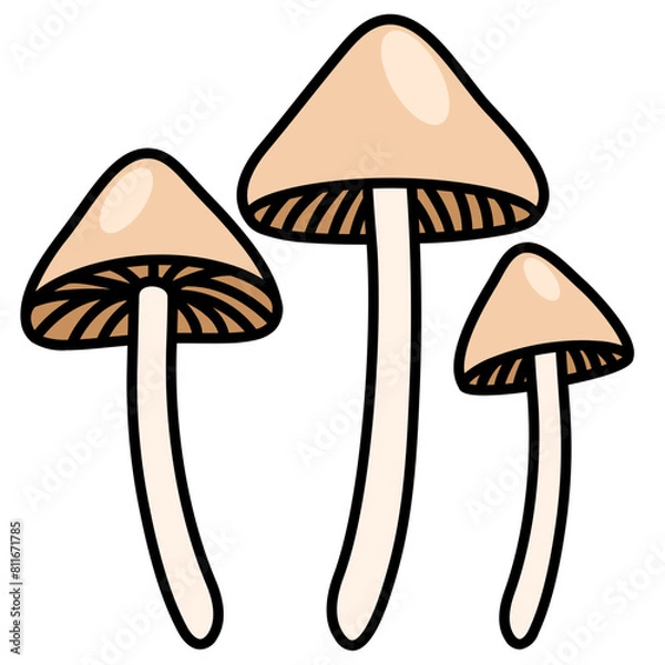 Obraz psilocybin line icon