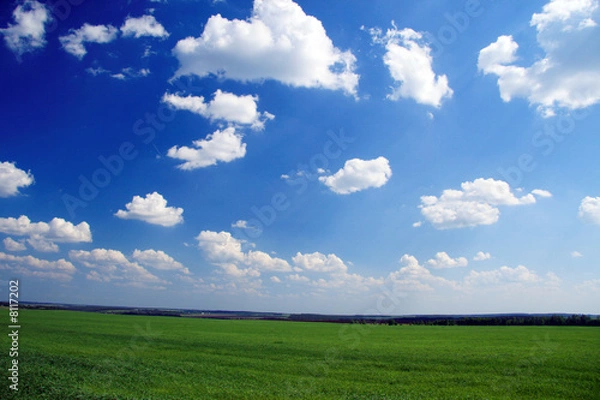 Obraz  	Background. Field