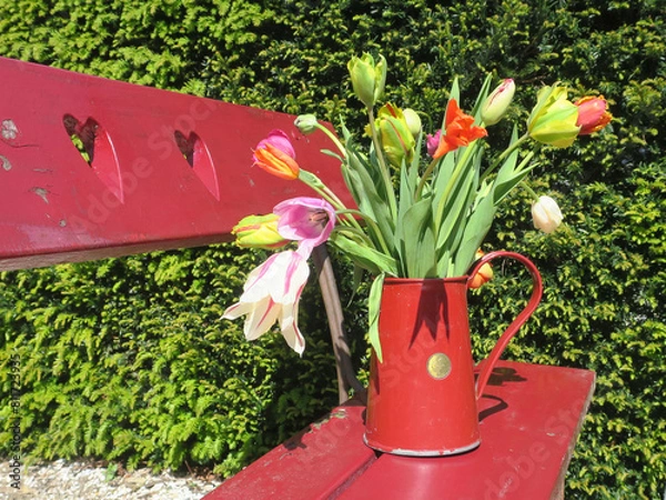 Fototapeta multi colored tulips in a red enamel can