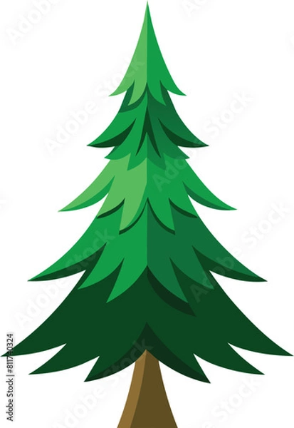Fototapeta pine tree vector illustration, christmas tree