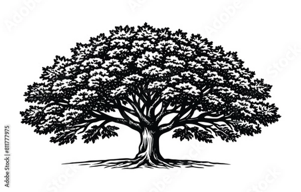 Obraz Black and white tree in woodcut engraving style, vector illustration