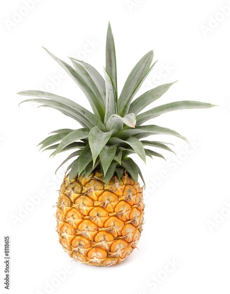 Fototapeta whole pineapple fruit with white isolated background