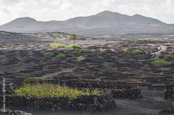 Obraz La Geria - Lanzarote