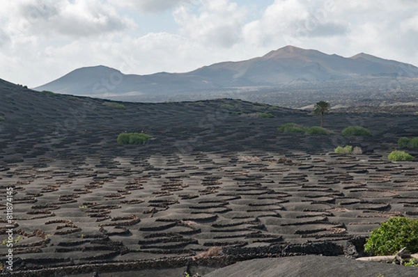 Obraz La Geria - Lanzarote