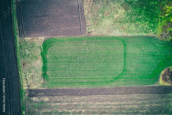 Obraz seeding crops agricultural background