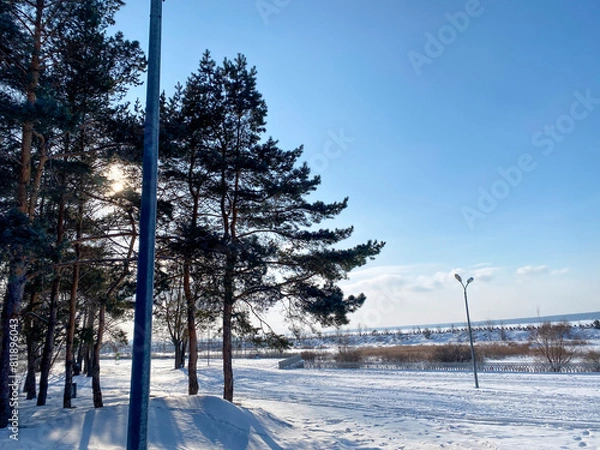 Obraz Une promenade enneigée le long d'une rivière gelée, avec des sapins à gauche. L'image évoque la tranquillité hivernale et la beauté paisible de la nature