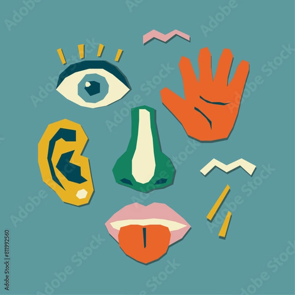 Fototapeta The five human senses. Collage of a human face from pieces of cut paper.Vector stock illustration.