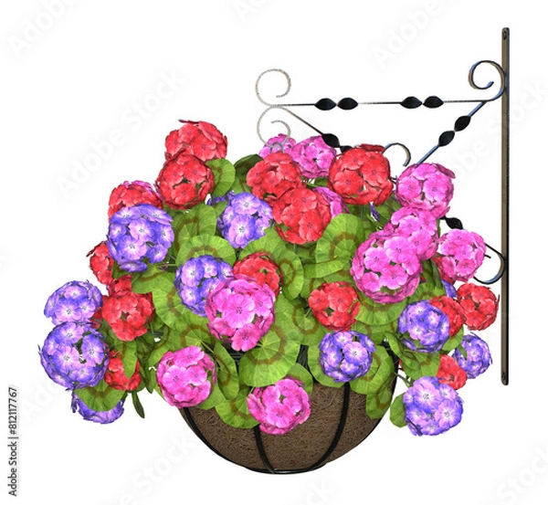 Fototapeta Colorful Geranium flowers in a hanging basket. Image 1 of a selection of PNG 3D, illustrations 